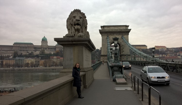 WP_20151127_10_03_24_Pro_LI (2)