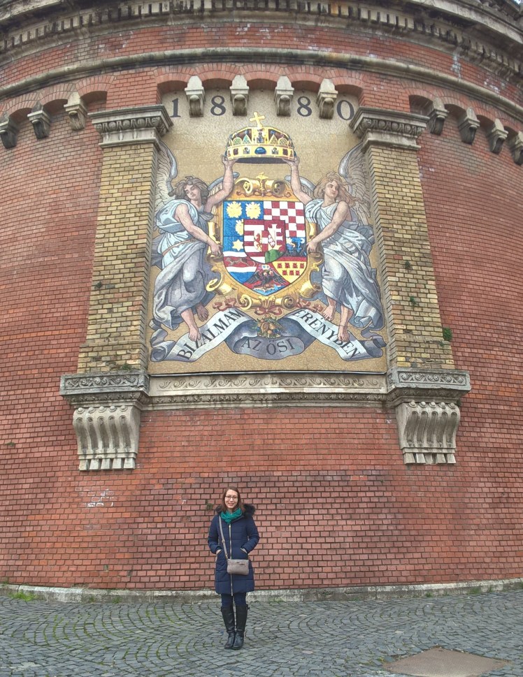 WP_20151127_10_11_09_Pro