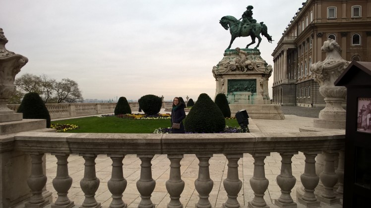 WP_20151127_10_26_24_Pro_LI