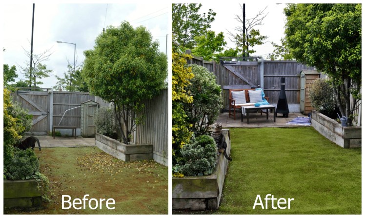 Before-after Yard