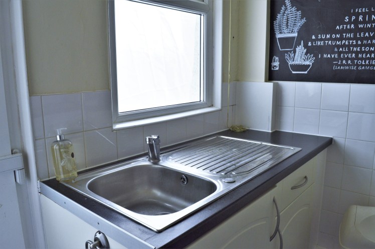 Tiny Kitchen - Sink Before