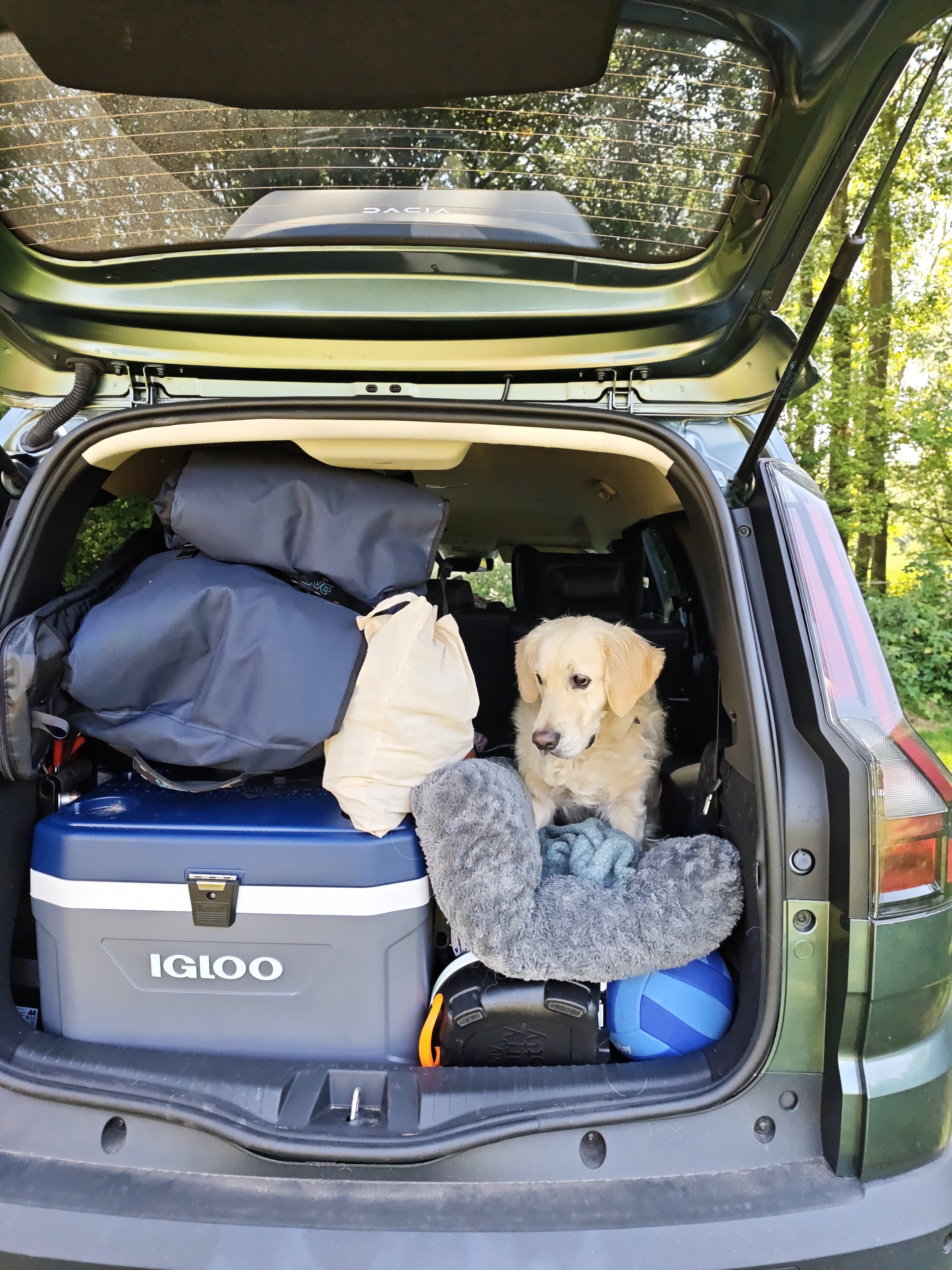 Car loaded with camping gear and golden retriever.